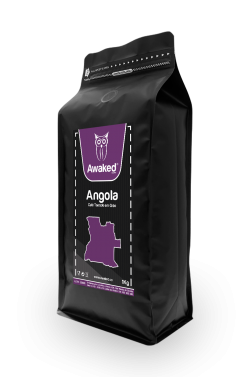 Angola3